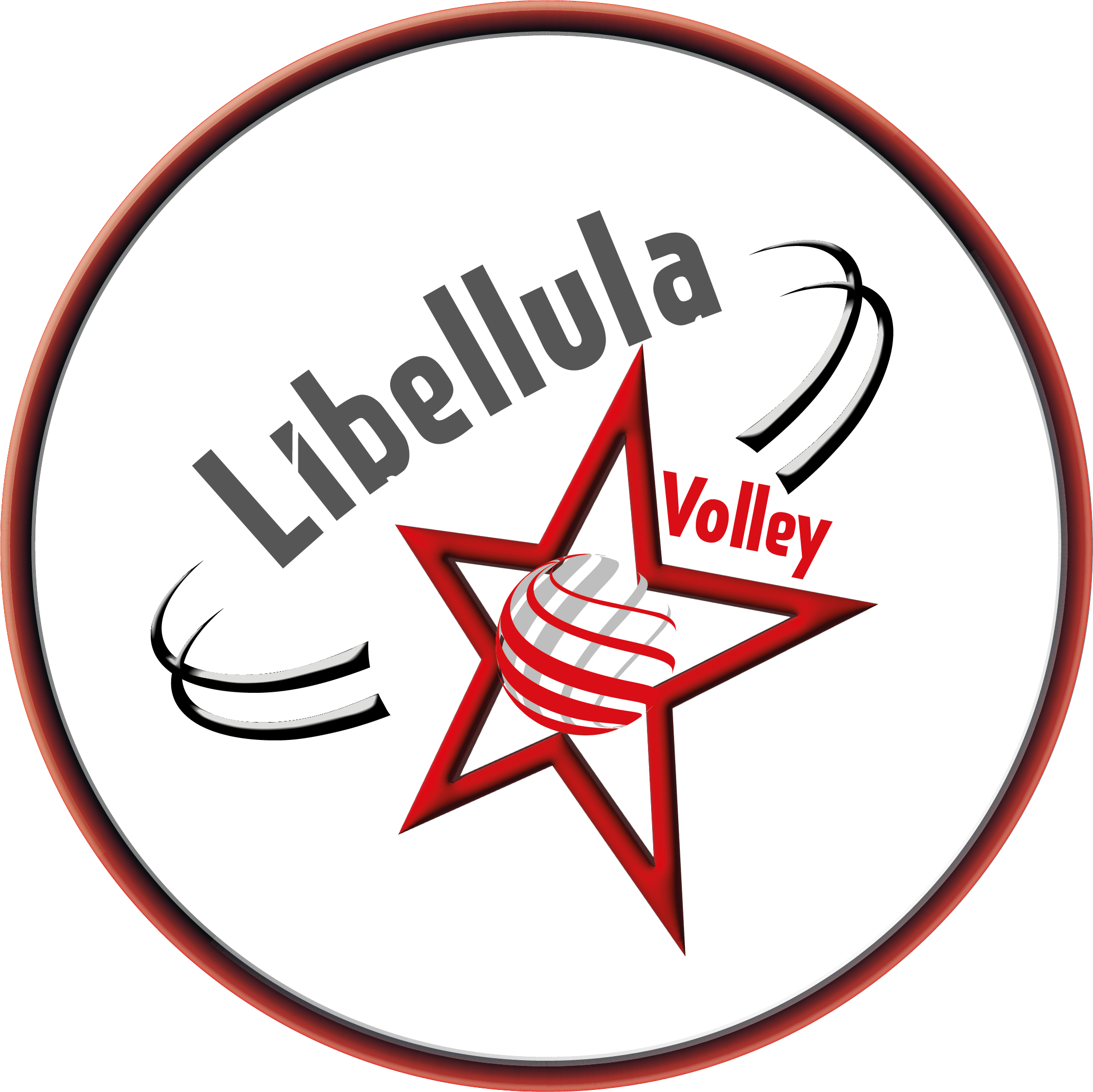 Logo Libellula Volley