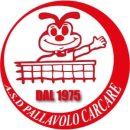 logo pallavolo carcare